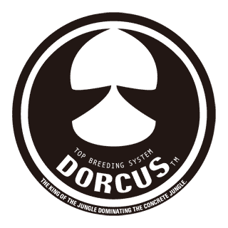 DORCUS